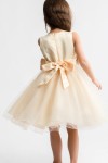 rochite fetite, rochite bebe, rochita de printesa, rochii de ocazie copii, rochie pentru copii